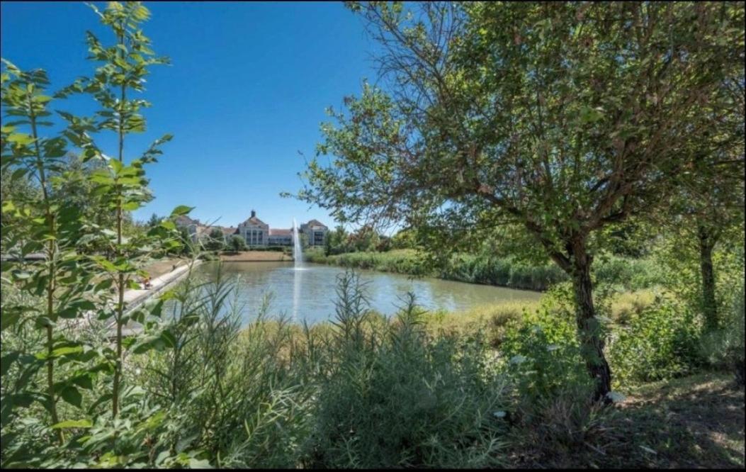 Appartement Castle - 10 Minutes De Disney Bussy-Saint-Georges Esterno foto